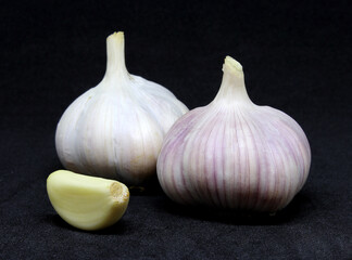 Garlic and garlic clove isolated on black background