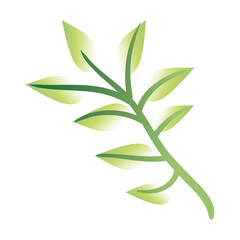 branch with leafs hand draw style icon