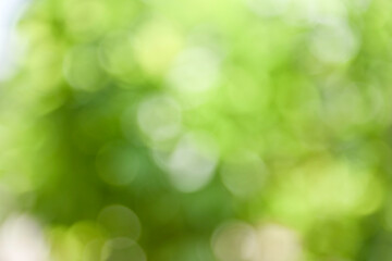 Green bokeh abstract blur background
