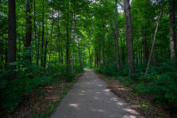 Fototapeta na wymiar Beautiful Scenic View of a Trail in a Forest Landscape during warm summer weather