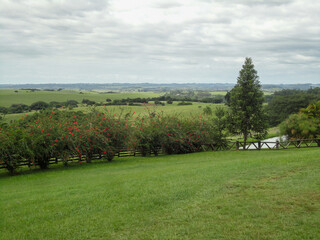 Fototapeta na wymiar landscape view of a green field and a cloudy sky