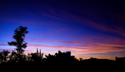 sunset in the forest