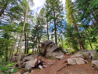 Rock Face in the Forest