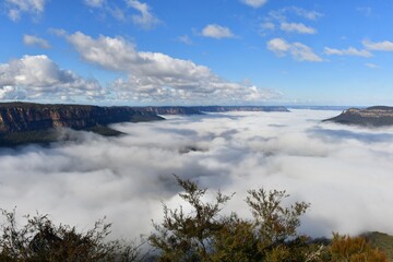 Obraz premium A view of mist in the valley