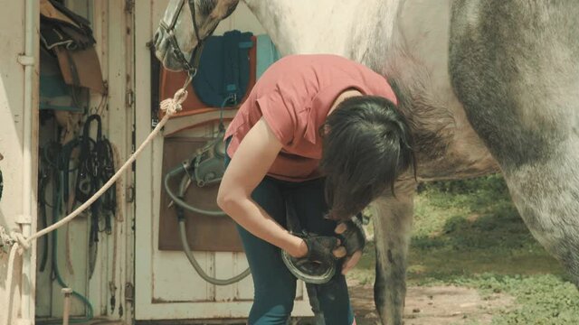 Young Woman Trimming and shoeing a horseshoe. Close Up