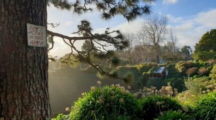 Tree scene with bee sign