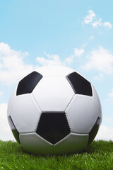 Soccer ball on a grass