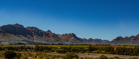 Fototapeta premium Stellenbosch South Africa