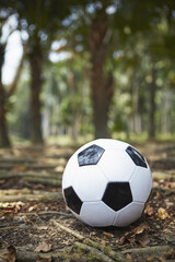 Fototapeta na wymiar Soccer ball on a ground