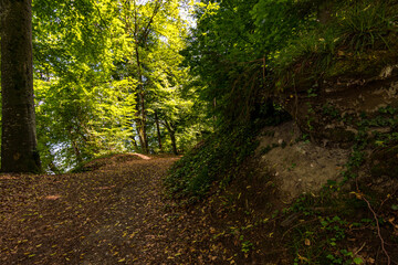 Fototapeta na wymiar Premium hiking trail Seegang on Lake Constance