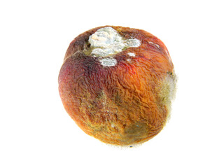rotten peach isolated on white background