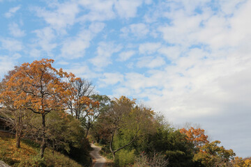 Fototapeta premium Gyeongju Yangdong Folk Village with road and beautiful surrounding in autumn, South Korea