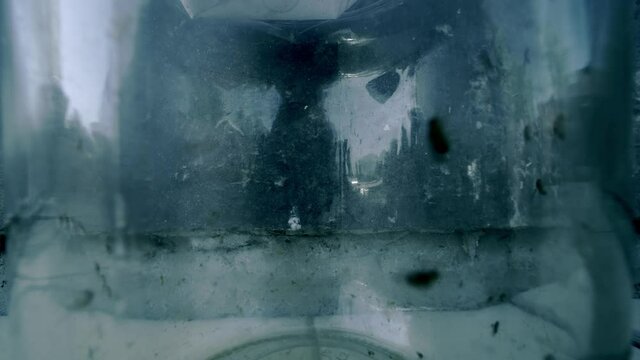 swarming flies in a transparent flask. creepy video of many small insects flying nearby, dark horror-style lighting, a burnt wall on the background.