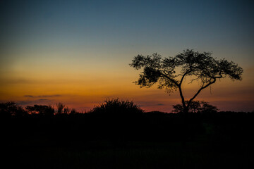 Fototapeta na wymiar Sunset Africa