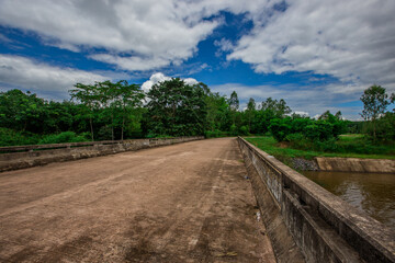 The natural background of green rice paddies and large trees surrounded by cool breezes, seen in rural tourist attractions.