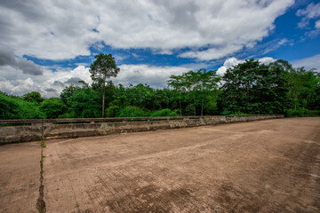 Obraz premium The natural background of green rice paddies and large trees surrounded by cool breezes, seen in rural tourist attractions.