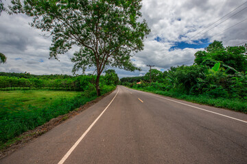 The natural background of green rice paddies and large trees surrounded by cool breezes, seen in rural tourist attractions.
