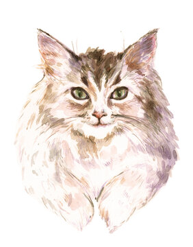 Hand-painted watercolor and pencils cat portrait on white background