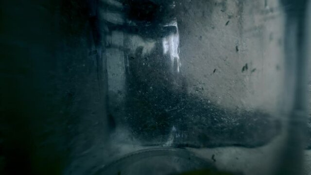 swarming flies in a transparent flask. creepy video of many small insects flying nearby, dark horror-style lighting, a burnt wall on the background.