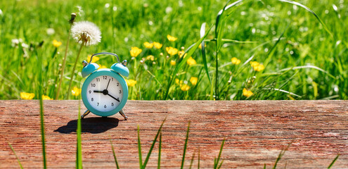 Daylight saving time. Vintage alarm clock on the background of the morning Sunny lawn