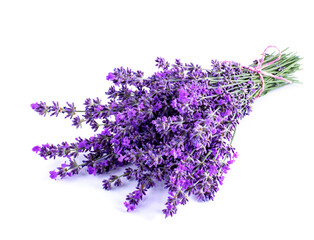 Lavender flowers on a white background. Lavender background. 