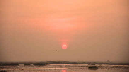 Beautiful landscape sunset on the river