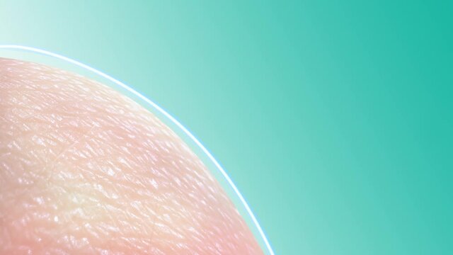 Layer of skin Used to make skin protection 3d