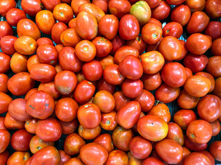 Organic red tomatoes. Fresh red tomatoes. Tomato harvest. 
