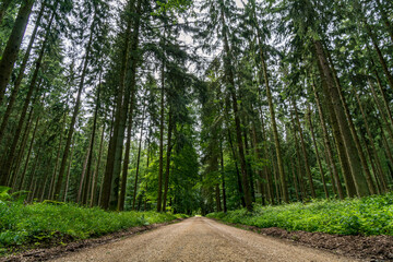 Obraz premium Premium hiking trail Seegang on Lake Constance