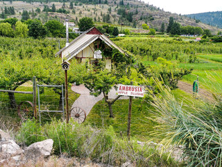 Wineries and Orchards View Green Okanagan BC Agriculture
