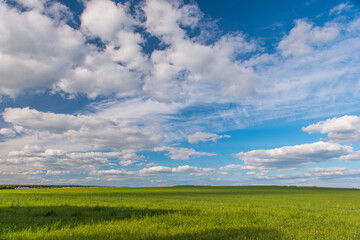 green field with white clouds in the blue sky in summer