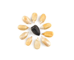 Sunflower seeds laid out in the form of a flower. Sunflower seeds on a white background. Isolated. Template.