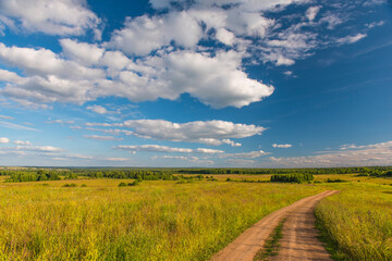 Fototapeta na wymiar a road running away into a green field with a blue sky