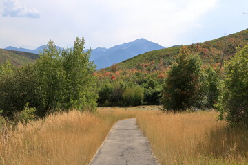 Wasatch Mountains Landscape on the Alpine Loop near Provo, Utah