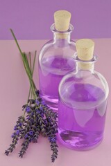 Obraz na płótnie Canvas Lavender water. Lavender Extract.Lavender essence in transparent bottles set and sprigs of lavender flowers on a combined pink-purple background.Organic natural cosmetics. Lavender cosmetics