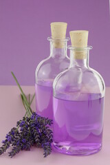 Obraz na płótnie Canvas Lavender water. Lavender Extract.Lavender essence in bottles set and sprigs of lavender flowers on a combined pink-purple background.Organic natural cosmetics concept. Lavender cosmetics