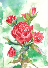 Hand-drawn watercolor and pencils vintage red rose composition on green painted background