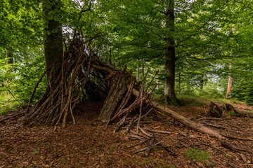 Premium hiking trail Seegang on Lake Constance