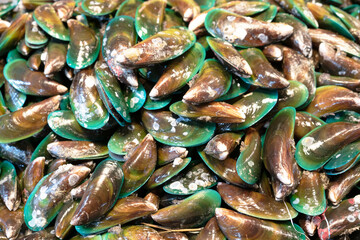 Mussel prepared as human food