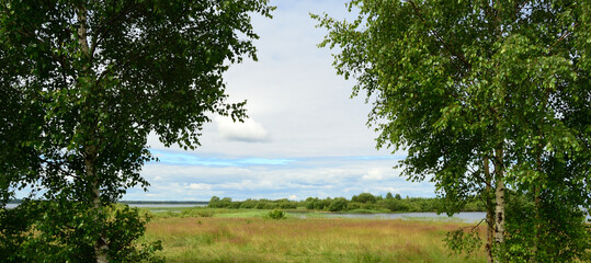 Summer landscape on the shore of the reservoir with green foliage of birch, meadow grass, beautiful cloudy sky and green forest on the horizon.