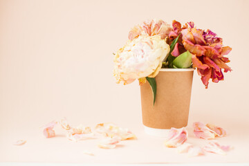 Beautiful dried pink peonies in a disposable paper cup
