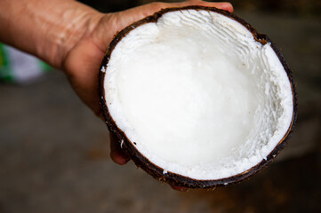 Fototapeta na wymiar The chef is scraping the coconut to make coconut milk.