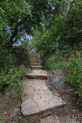 Stairway of stone steps leading up a trail in thick lush green forest highlighted by sunlight with a mysterious lost world feeling.