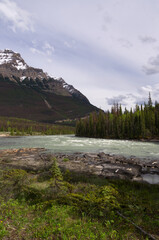 Fototapeta na wymiar Athabasca River