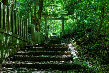 A very old shrine located in a bamboo forest deep in the mountains of Kyoto.