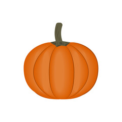 Obraz premium pumpkin vegetable, close-up isolated color on a white background, vector illustration, diet, design, icon