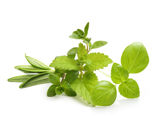 Fresh spices and herbs isolated