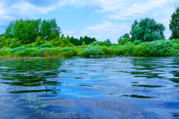 Bluewater of the wild lake with sky reflection in the forest