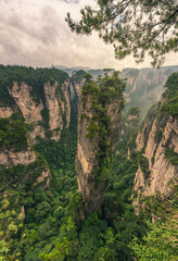 Fototapeta na wymiar Asian tourist attraction, traveling in China Zhangjiajie National Forest Park.