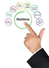 Presenting Eight drivers of Resilience